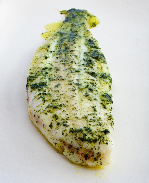 slip sole sportsman